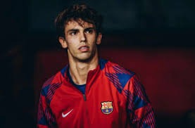 布朗33+10坎宁安空砍42分 凯尔特人终结活塞13连胜