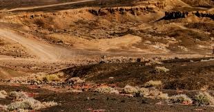 两场最红马拉松“撞车”！在竞争中展现最美